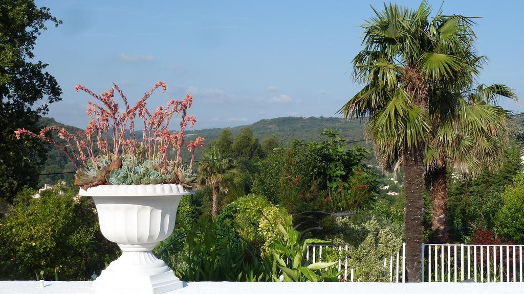 La Lezardiere La Colle-sur-Loup Exterior foto
